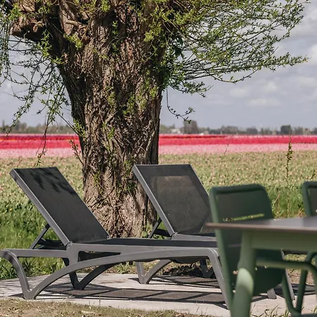 Comfy With Microwave, Near Markermeer Сasa de vacaciones Wijdenes